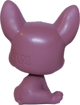No # French Bulldog "Morning Dew"